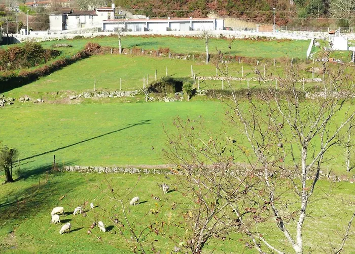 Campo Seco