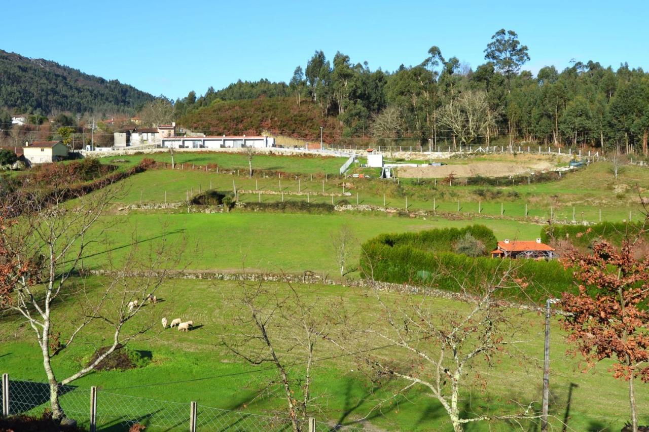 Holiday home Campo Seco Vieira do Minho