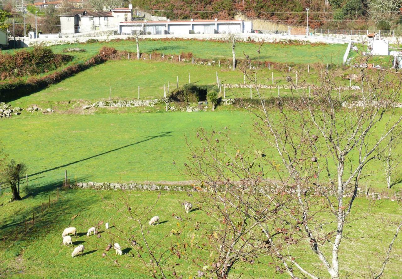 Holiday home Campo Seco Vieira do Minho